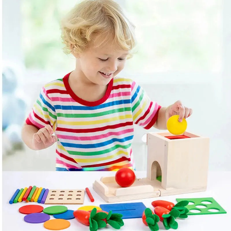 Montessori Wooden Play Box with Various Tasks and Solutions My Store