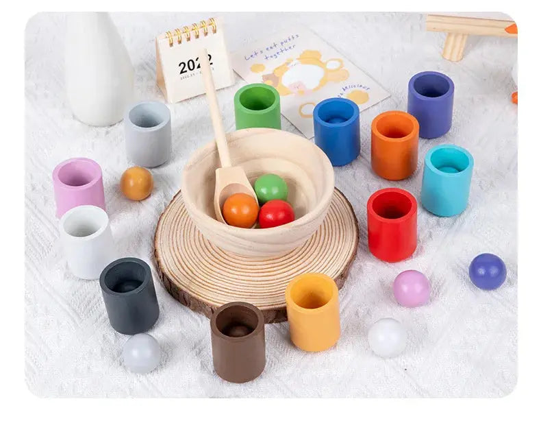 Montessori Sorting and Colour Recognition Wooden Set My Store