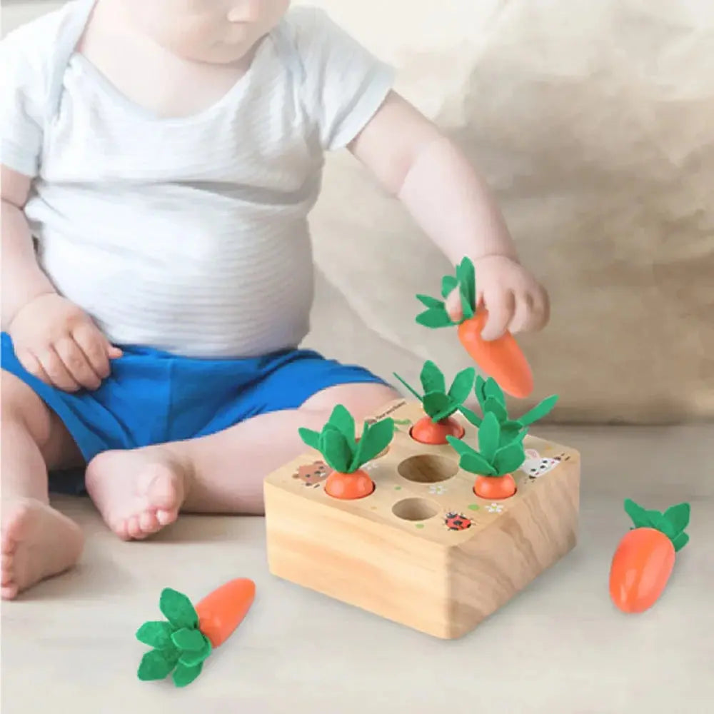 Montessori Learning and Developmental Wooden Toy My Store