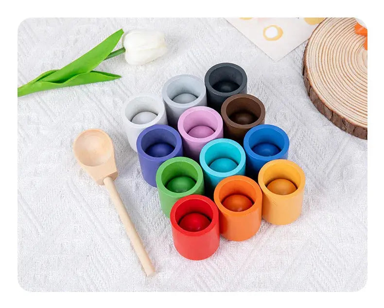 Montessori Sorting and Colour Recognition Wooden Set My Store