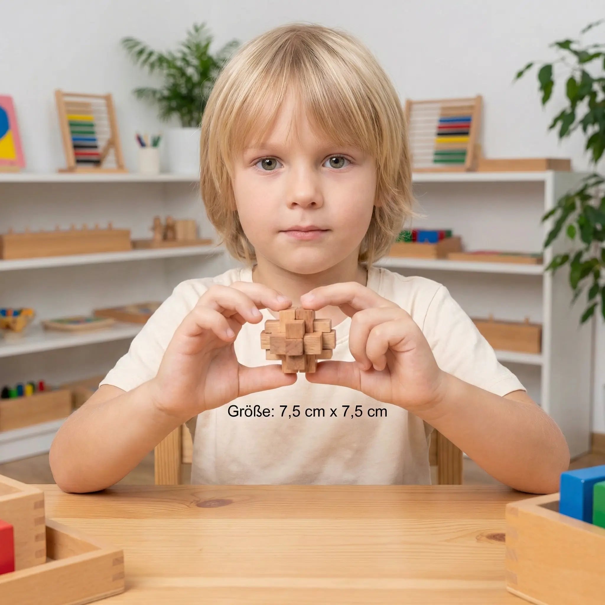 Montessori 3D Wooden Learning Game Puzzle My Store