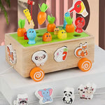 Montessori Learning and Developmental Wooden Toy My Store